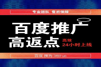 成功SEM托管案例解析